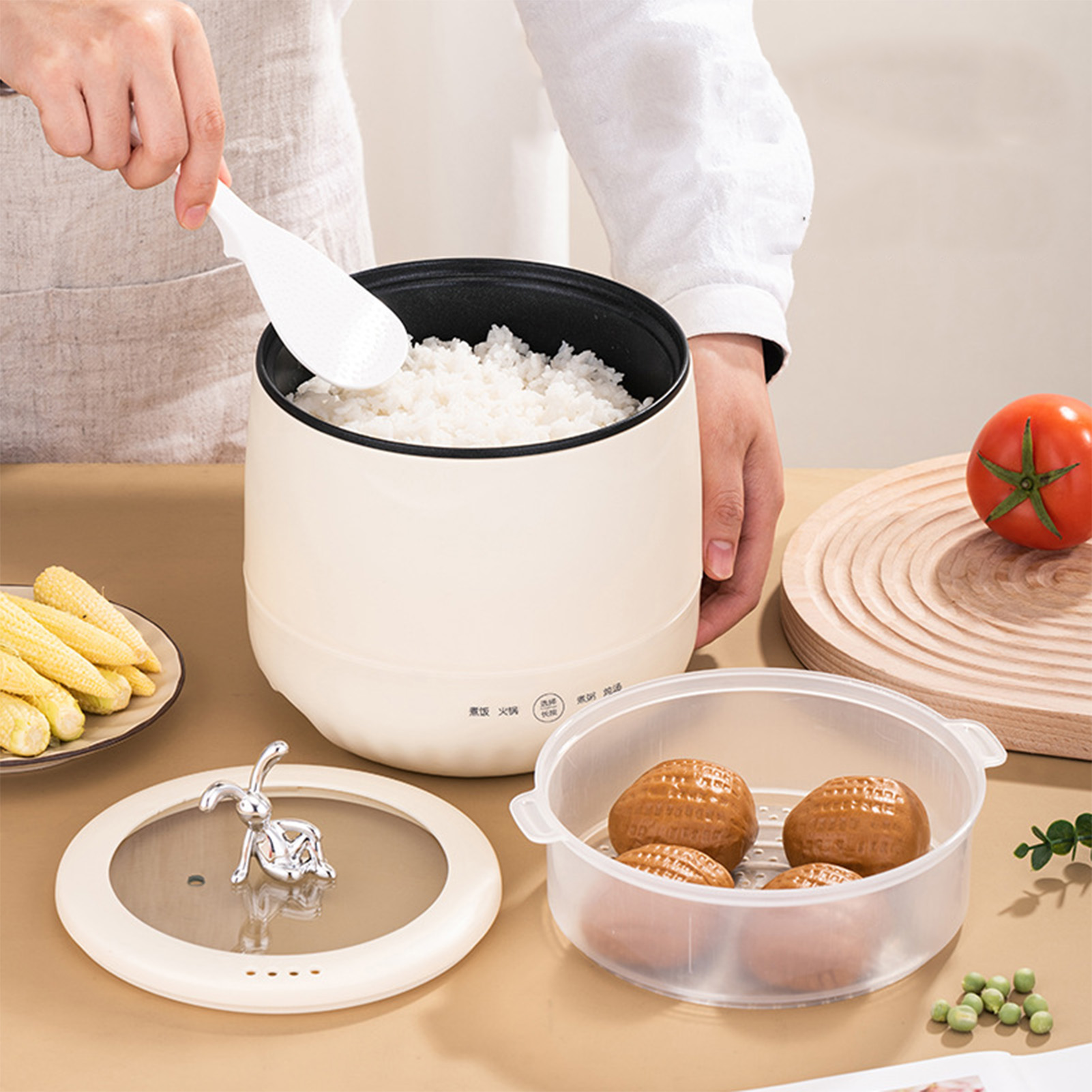 Smart Electric Mini Rice Cooke - Meal Prep Healthy ulasan dan harga