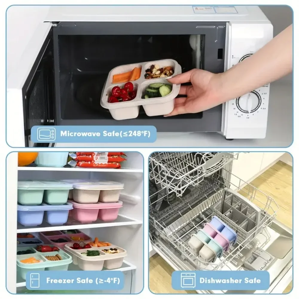 4 Grid Snack Box for Kids and  - Meal Prep Kinder ulasan dan harga